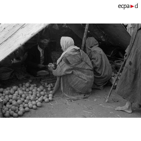 Un Tunisien vend des oranges dans un marché.