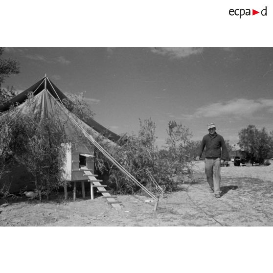 Poulailler du campement de la Luftwaffe installé à proximité du terrain d'El Aouina.