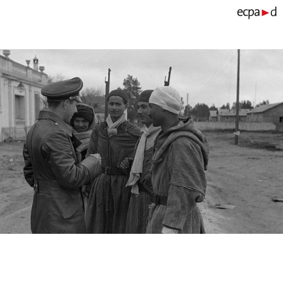 Des reporters de la Luftwaffe rencontrent des groupes de défense tunisiens.