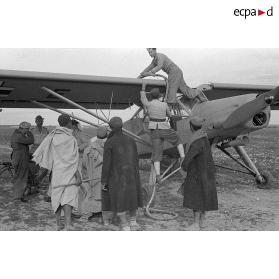 Préparation d'une mission de reconnaissance au-dessus de Kairouan, le Fieseler Storch est immatriculé NE+DF.