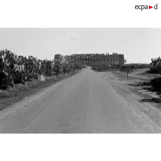 En Tunisie, la visite des ruines romaines de El Jem.