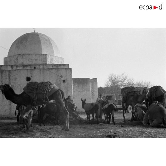 Une mosquée au nord-est de Bizerte.