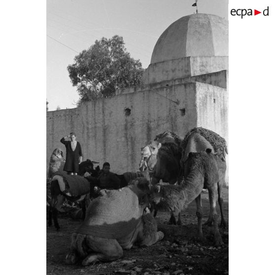 Une mosquée au nord-est de Bizerte.