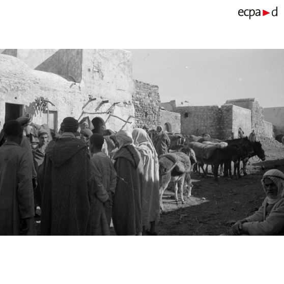 En Tunisie, la visite d'un village entre Bizerte et le lac de Ichkeul.