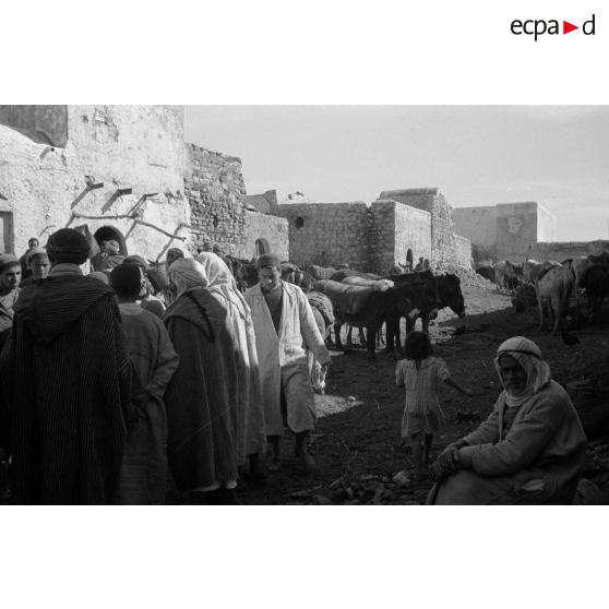 En Tunisie, la visite d'un village entre Bizerte et le lac de Ichkeul.