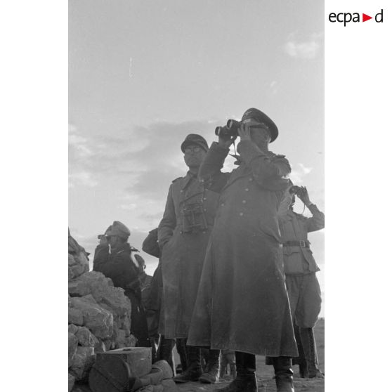 Observation du front de Tobrouk depuis les hauteurs de Sidi Azeiz.