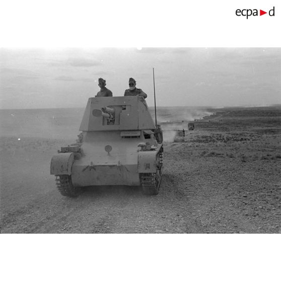 Un char Panzerjäger-I-Ausf-B sur une piste dans le désert. Colonne de véhicules.