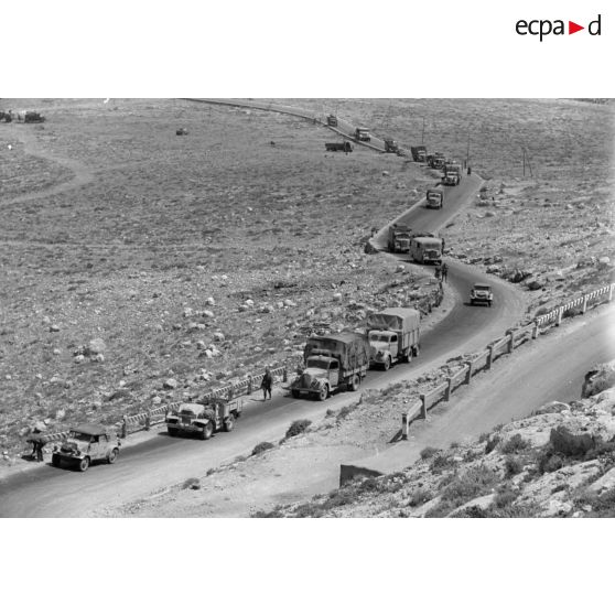 Des véhicules de la 5-Leicht Division roulent en colonne sur la via Balbia.