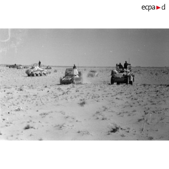 Progression de blindés SdKfz-222 et SdKfz-232 et d'un chasseur de char Panzerjäger-I Ausf-B.