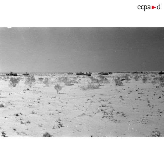 Des éléments du Panzer-Regiment 8 (Pz.Rgt-8) en formation de combat dans le désert.