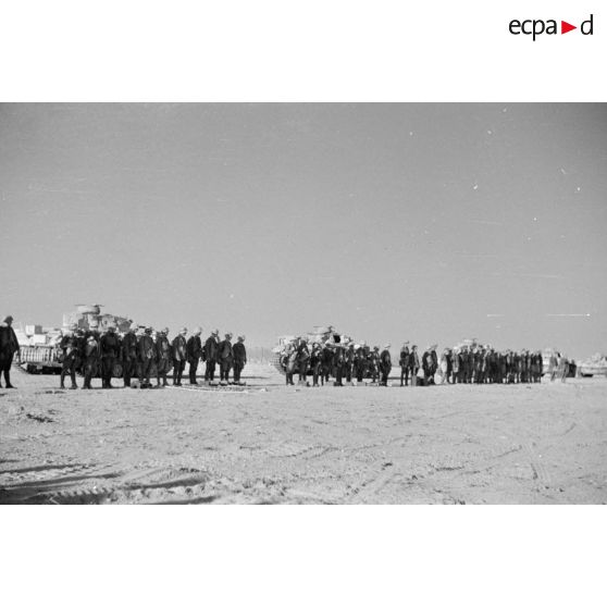 Des éléments du Pz.Pion.Btl-33 en ligne devant des chars Panzer III (Pz-III) Ausf-F du Pz.Rgt-8.