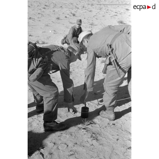 Pose des mines bondissantes et des fils déclencheurs les reliant.