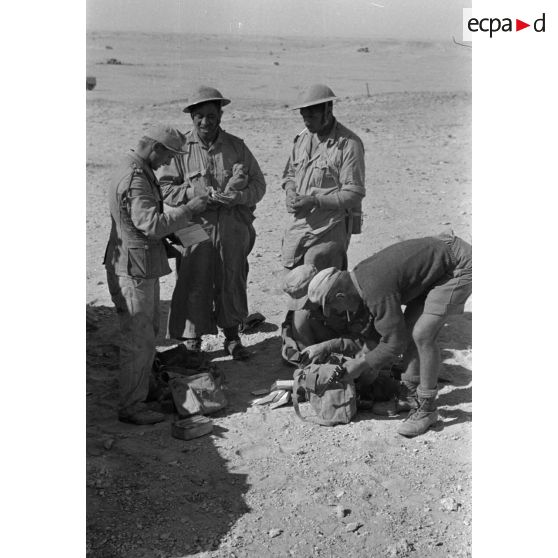 Des prisonniers sont fouillés par des soldats allemands près d'un chasseur de char Panzerjäger (Pz-jaeger-I).