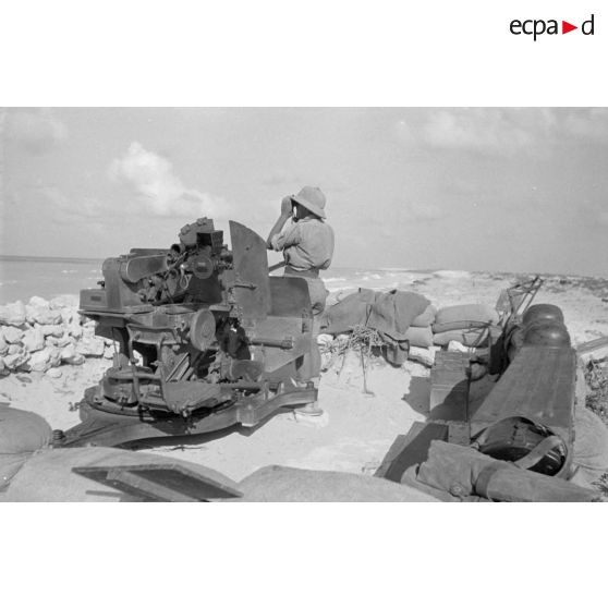 Alvéole d'un canon FlaK-38 de 2 cm, un des servants scrutant la mer avec des jumelles.