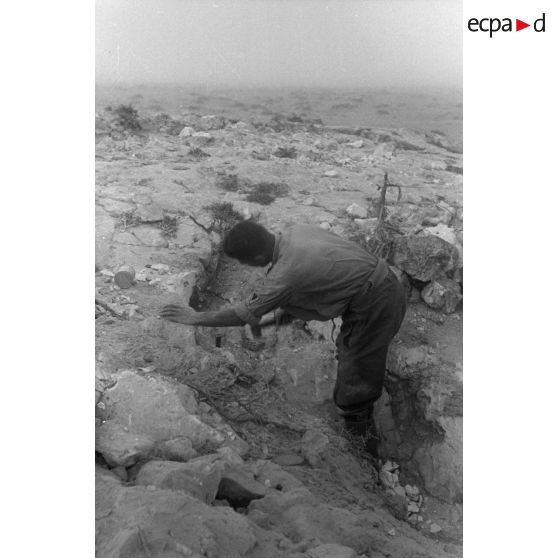 Renforcement de la position, deux soldats allemands plantent des piquets.