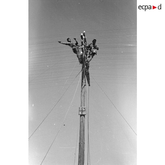 Des soldats allemands travaillent sur des lignes télégraphiques.