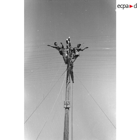 Des soldats allemands travaillent sur des lignes télégraphiques.