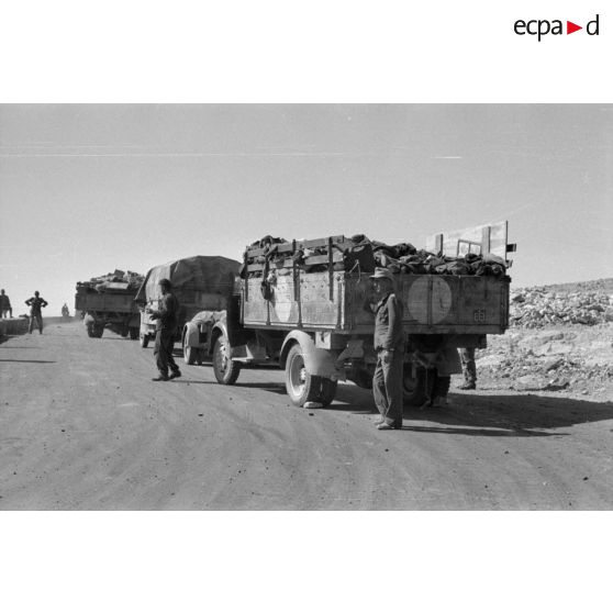 Une colonne de véhicules divers, camions Mercedes, Opel Blitz, camions de prise d'origine britannique.