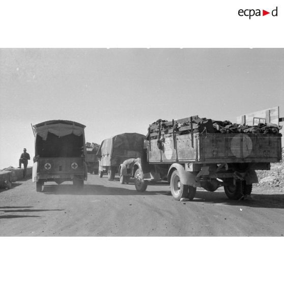 Une colonne de véhicules divers, camions Mercedes, Opel Blitz, camions de prise d'origine britannique.