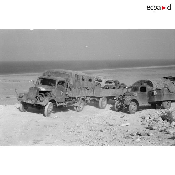 Une colonne de véhicules divers, camions Mercedes, Opel Blitz, camions de prise et un blindé Sd.Kfz.263.