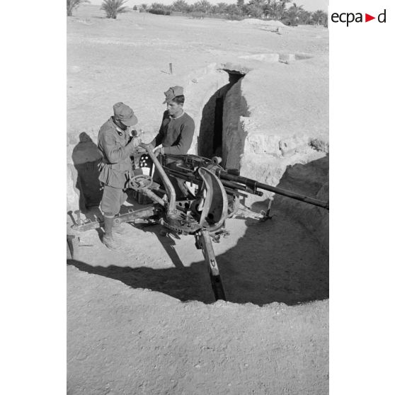 Un canon Breda de 20 mm avec deux de ses servants italiens dans une alvéole.