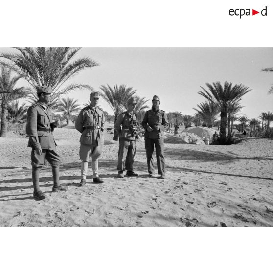 Deux membres de la Pk.Afrika posent avec deux officiers italiens, un capitaine et un lieutenant.