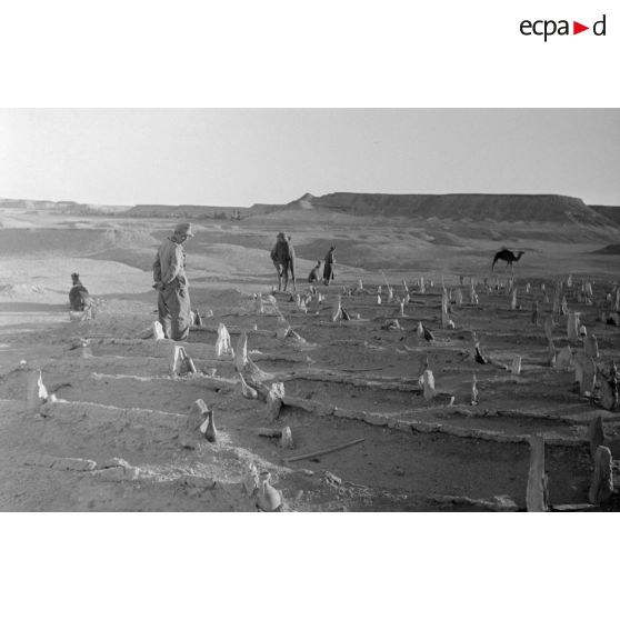 Un cimetière est visité par les hommes de la colonne.