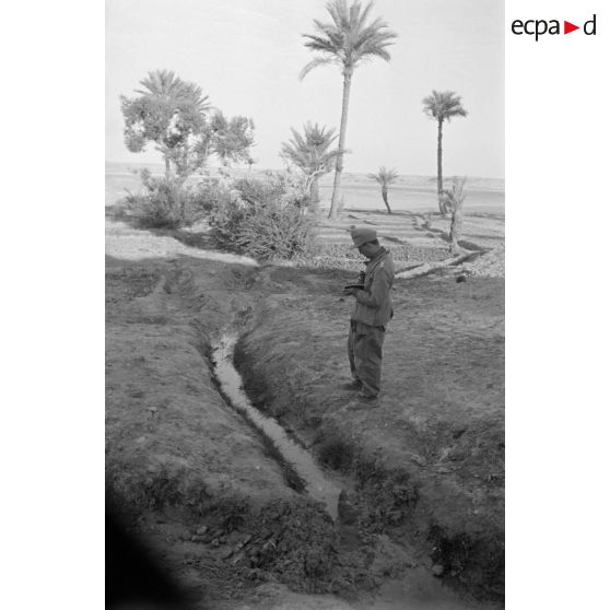 Culture irriguée et palmiers, un Leutnant prend des notes sur le système d'irrigation.