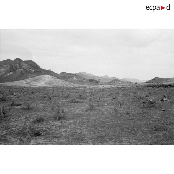 Dans une vallée proche de Sfax, un paysage montagneux.