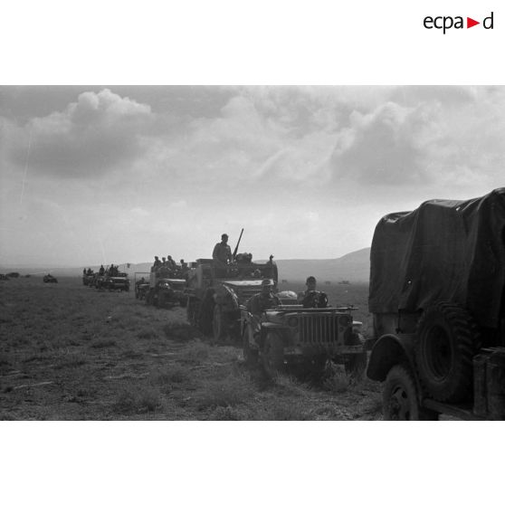 Colonne de véhicules américains capturés et utilisés par la 10e division blindée allemande, half-tracks (APC M2), jeep.<br>