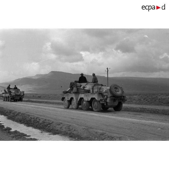 Deux blindés SdKfz-233 sur une route.