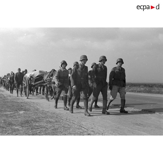 Les volontaires conduits par les cadres allemands suivis par les carrioles du train de combat et des mulets.