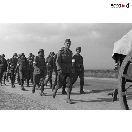 Les volontaires conduits par les cadres allemands suivis par les carrioles du train de combat et des mulets.