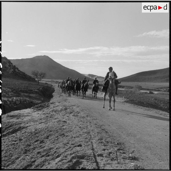 Exercice du 31e Groupe Vétérinaire (GV) sur les bords de l'Oued Chelif près de Mostaganem.