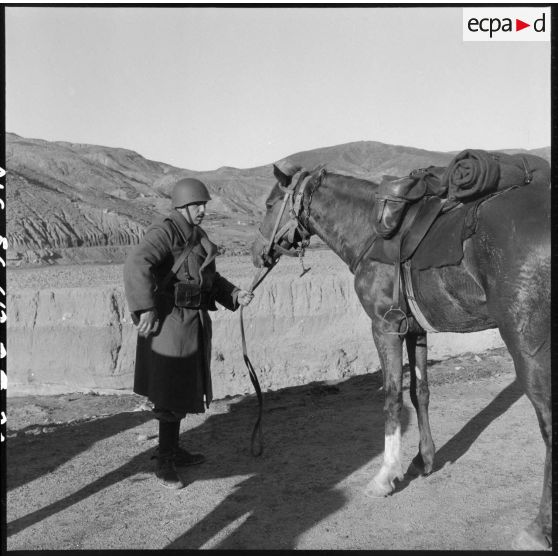 Soldat avec son cheval lors d'un exercice du 31e Groupe Vétérinaire (GV) sur les bords de l'Oued Chelif près de Mostaganem.