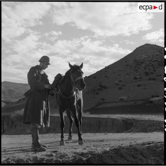 Soldat avec son cheval lors d'un exercice du 31e Groupe Vétérinaire (GV) sur les bords de l'Oued Chelif près de Mostaganem.