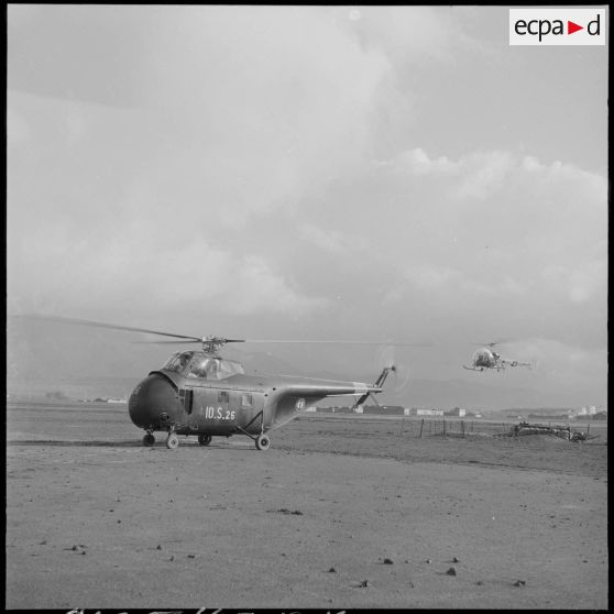 Atterissage d'hélicoptères de transport Sikorsky H-19 et Bell 47 sur un terrain près du Djebel Chelia.