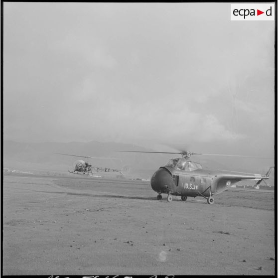 Atterissage d'hélicoptères de transport Sikorsky H-19 et Bell 47 sur un terrain près du Djebel Chelia.