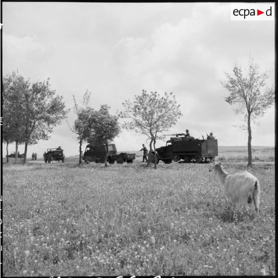 Arrivée dans une mechta au sud de Sétif d'un convoi de la 57e compagnie de transmissions de la 7e DMR (division mécanique rapide).