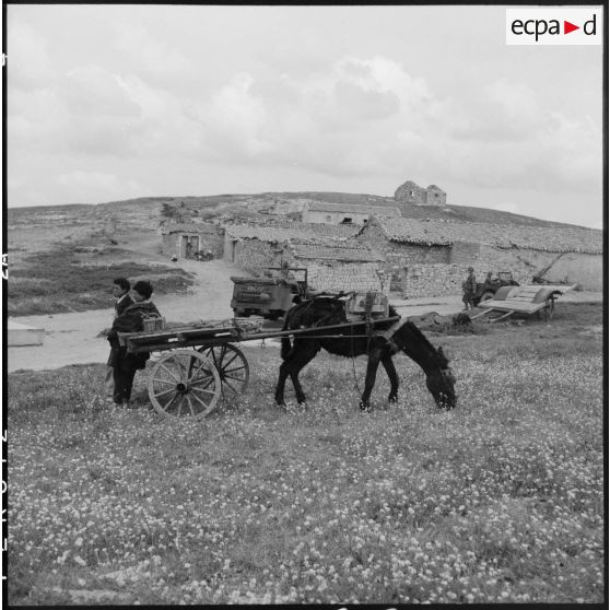 Arrivée dans une mechta au sud de Sétif d'un convoi de la 57e compagnie de transmissions de la 7e DMR (division mécanique rapide) sous le regard des villageois.