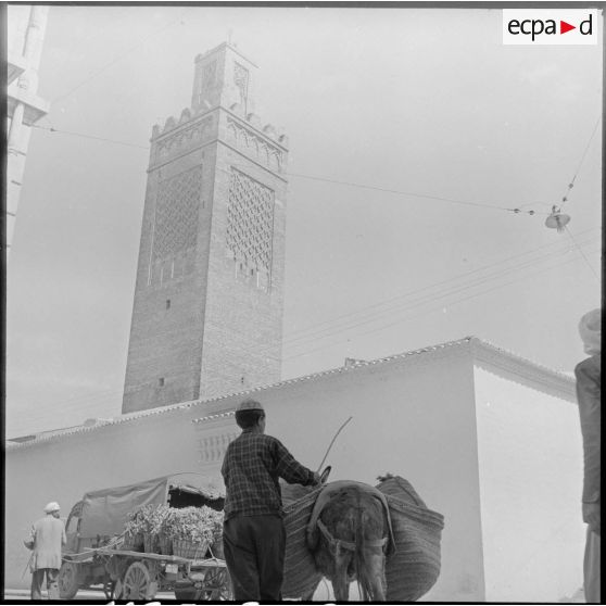 Vue sur le minaret de la mosquée de la ville de Tlemcen.