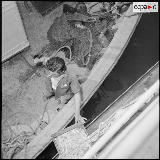 Vue en plongée d'un pêcheur à bord de son bateau.