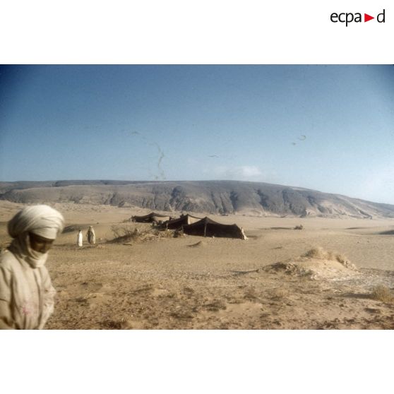 Tounnourt. Campements arabes. Baamar ben Cadi. [légende d'origine]