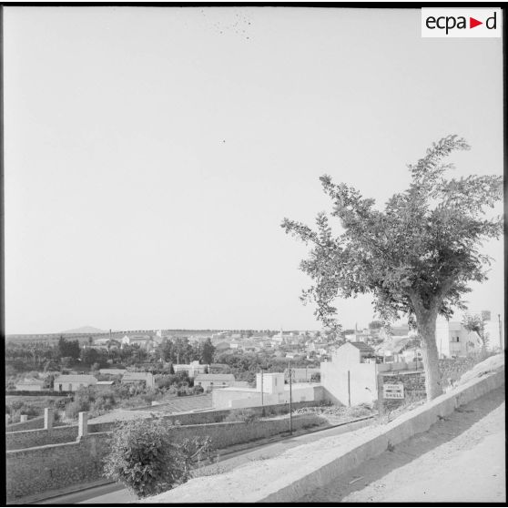 Vue de la ville d'Aïn Temouchent.