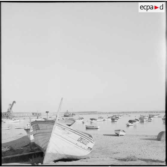 Des embarcations au port de pêche de Beni Saf.