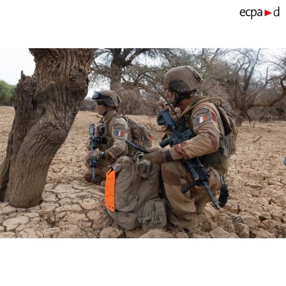 Des légionnaires du 2e régiment étranger d'infanterie (2e REI) se préparent à ratisser une forêt dans le Liptako, au Mali.