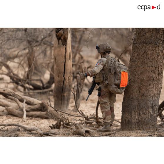 Un légionnaire du 2e régiment étranger d'infanterie (2e REI) communique en langage des signes avec son binôme lors du ratissage d'une forêt dans le Liptako, au Mali.