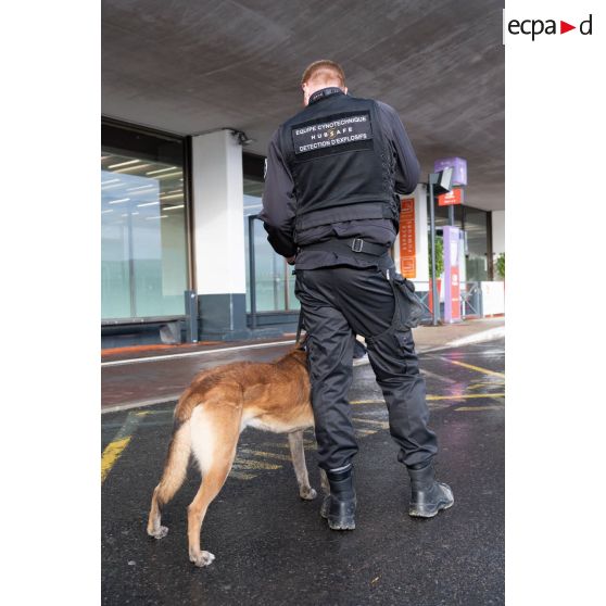 Un agent cynotechnique de la sûreté aérienne et aéroportuaire sécurise une zone de colis suspect à Orly.