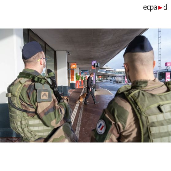 Des soldats sécurisent une zone de colis suspect aux côtés d'un agent cynotechnique de la sûreté aérienne et aéroportuaire à Orly.