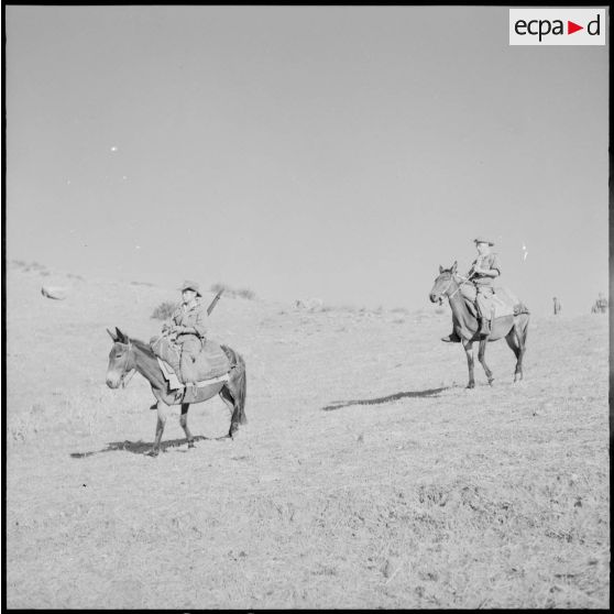 Le capitaine Robert Froment (à droite) et le soldat Louis Bega partent en reconnaissance à dos de mulets.